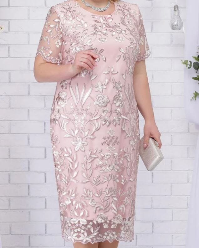 Women Plus Size Short Sleeve Embroidery Floral Gorgeous Dress Dresses jehouze Pink L