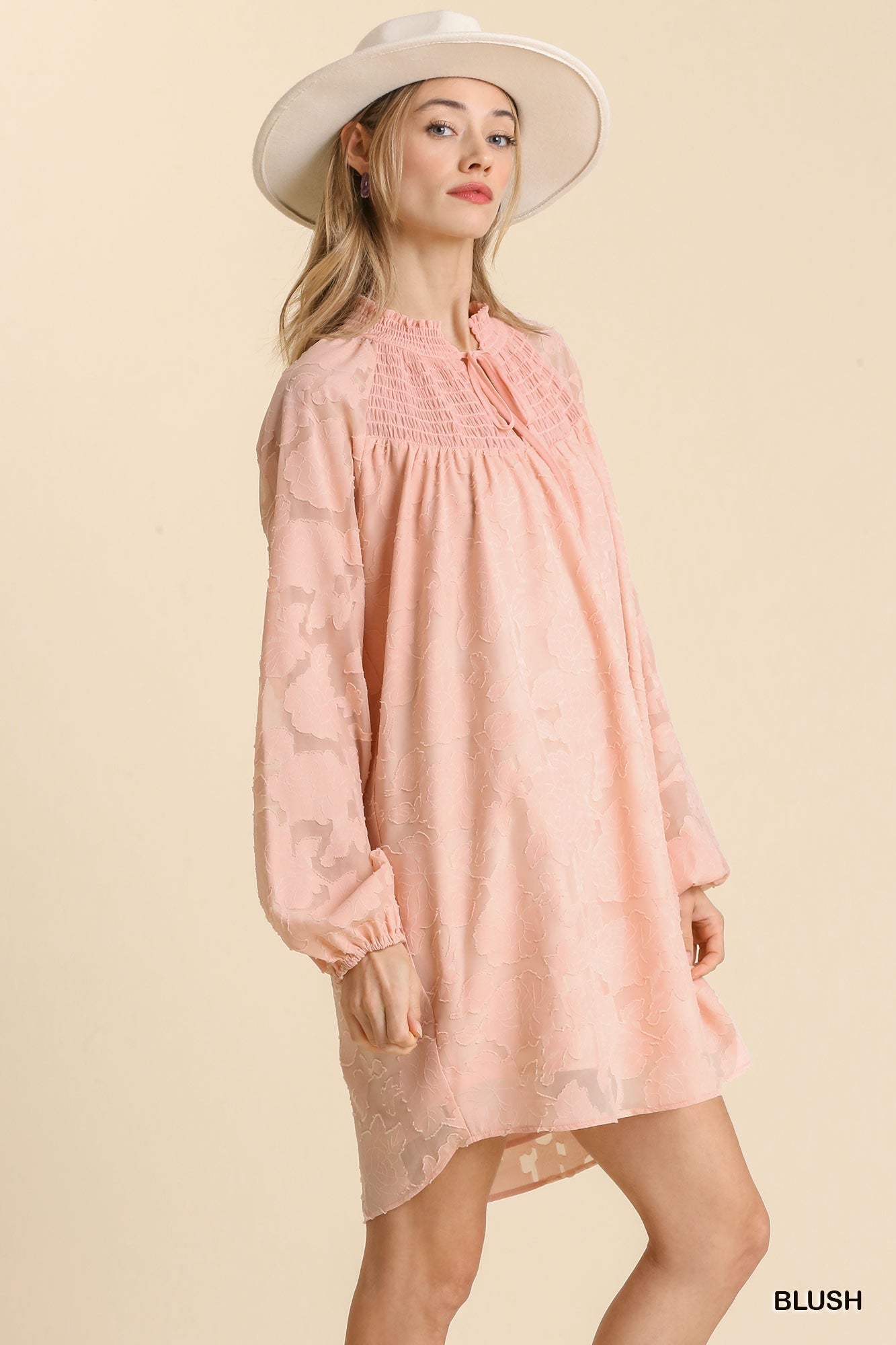 Jacquard Raglan Smocked Tie Neck Yoke Dress Dresses jehouze