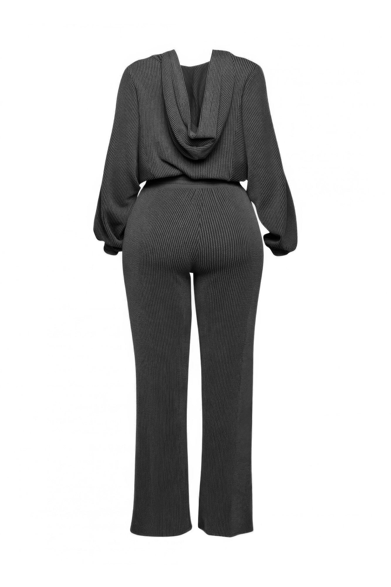 Plus Size Zipper Closure Hoodie Jacket & Pants Set Outfit Sets jehouze 
