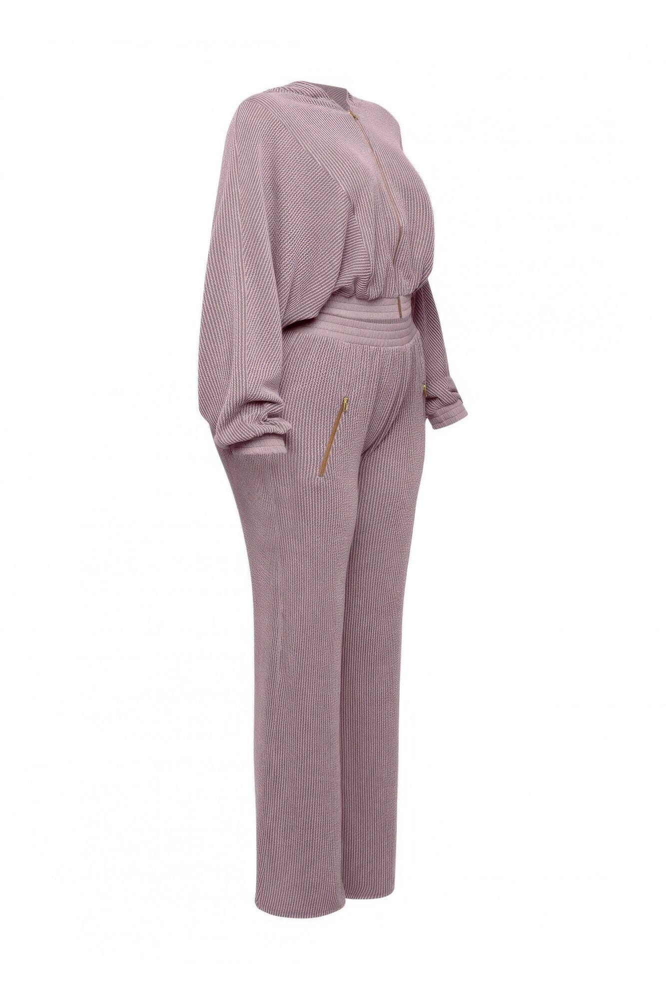 Plus Size Zipper Closure Hoodie Jacket & Pants Set Outfit Sets jehouze 