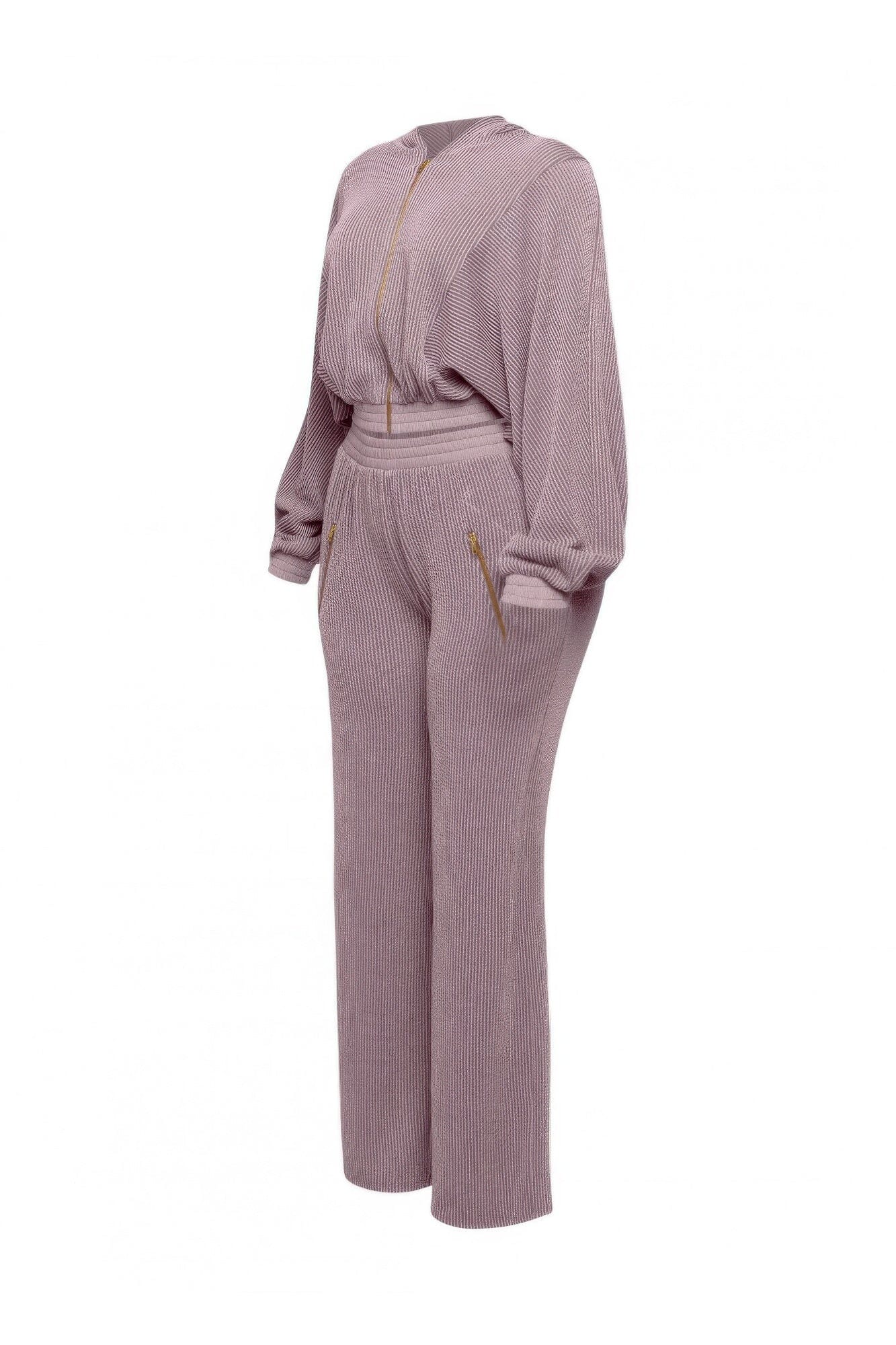Plus Size Zipper Closure Hoodie Jacket & Pants Set Outfit Sets jehouze 