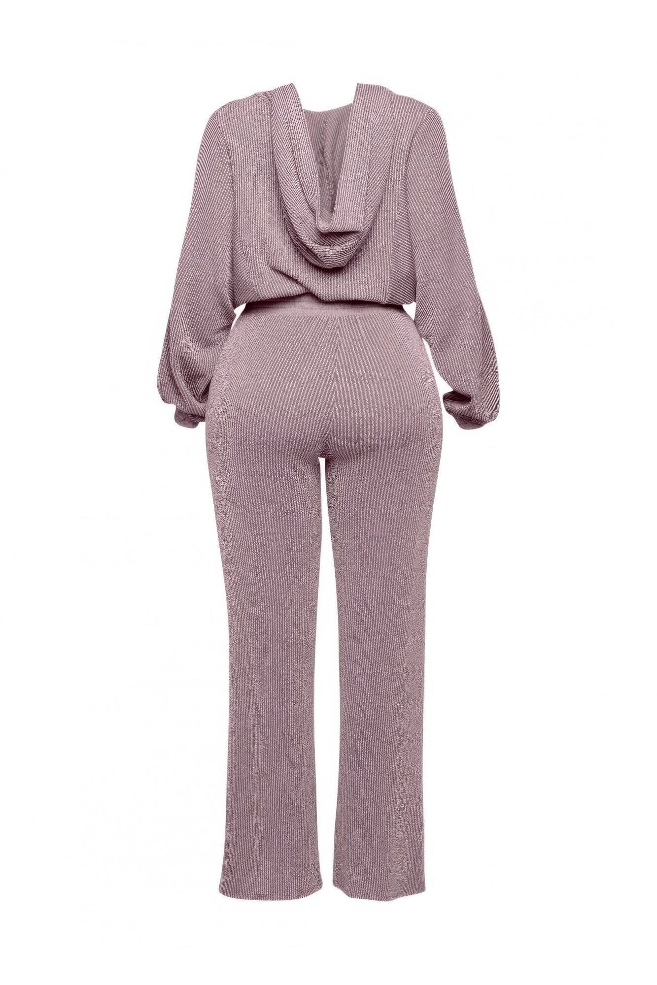 Plus Size Zipper Closure Hoodie Jacket & Pants Set Outfit Sets jehouze 