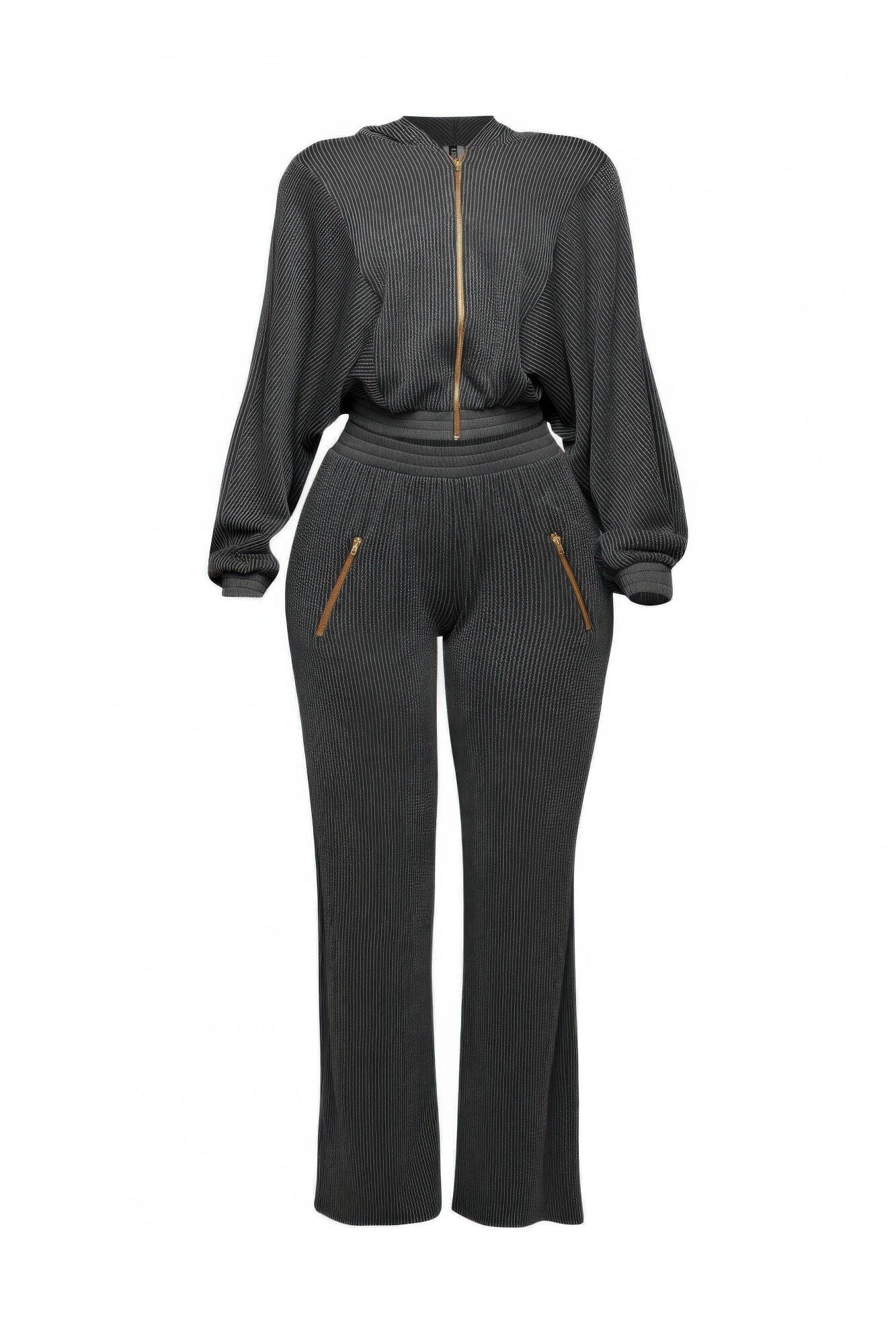 Plus Size Zipper Closure Hoodie Jacket & Pants Set Outfit Sets jehouze Charcoal 1XL 
