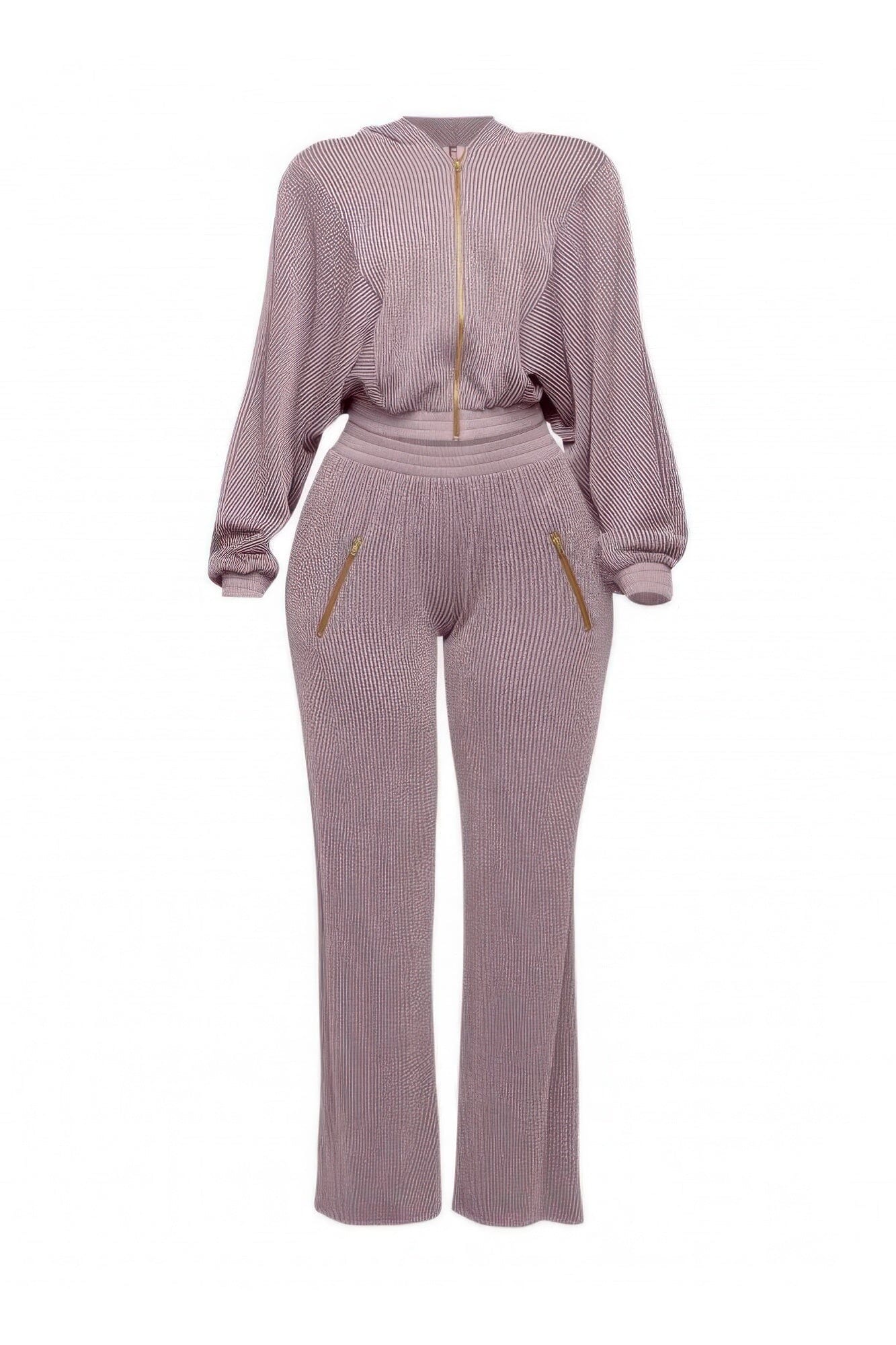 Plus Size Zipper Closure Hoodie Jacket & Pants Set Outfit Sets jehouze Lavender 1XL 