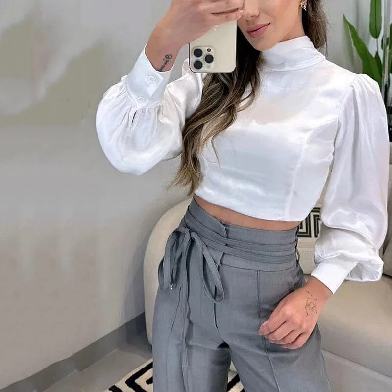 Women 2 pcs Long Sleeve Mock Neck Crop Top and Self Tie Loose Wide Leg Pant Outfit Set Outfit Sets jehouze 