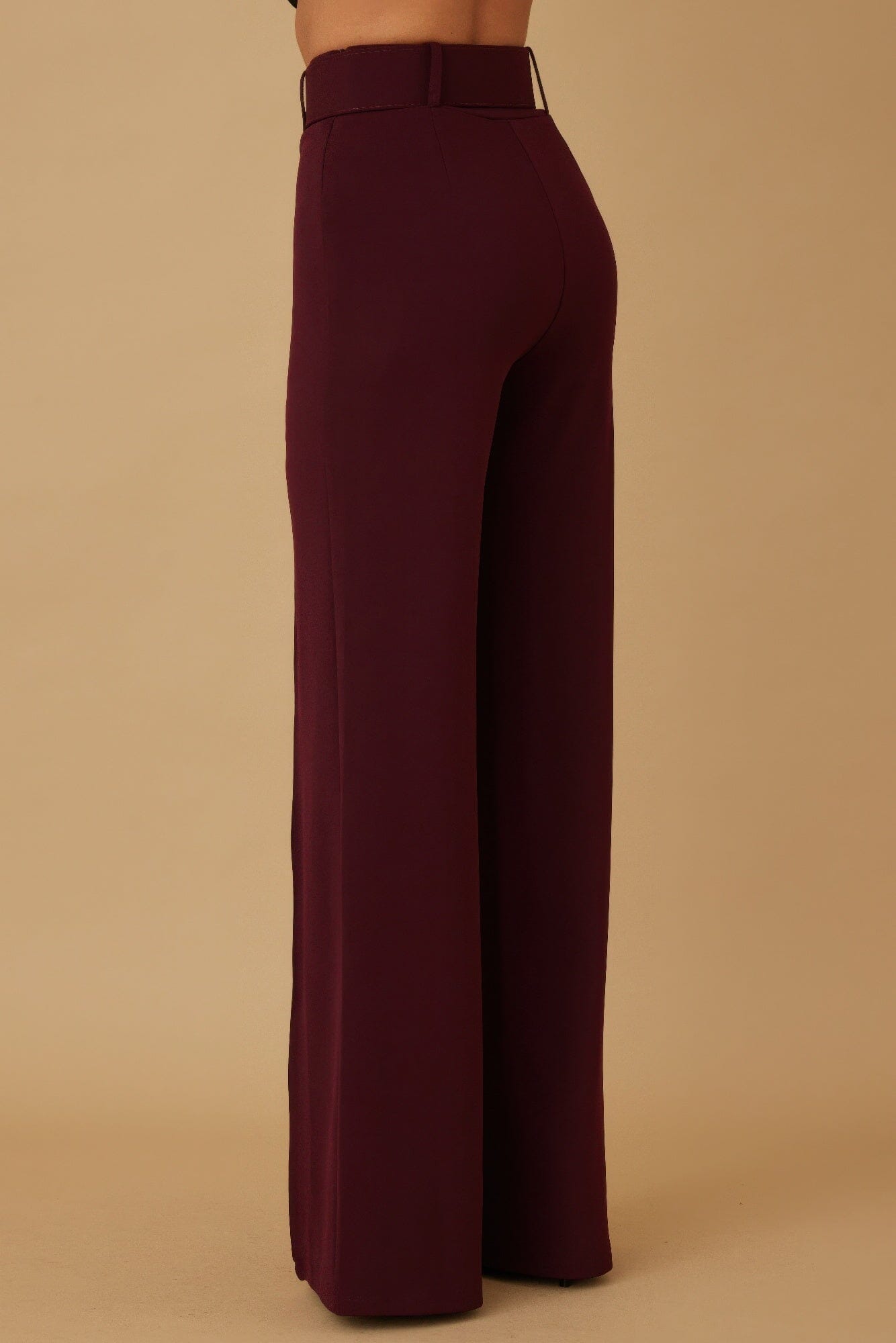 Women High Waist Pants With Buckle Belt Pants jehouze 