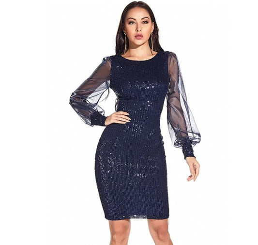 Women Sexy Mesh Long Lantern Sleeve Sequins Glitter Bodycon Party Club Dress Dresses jehouze S 