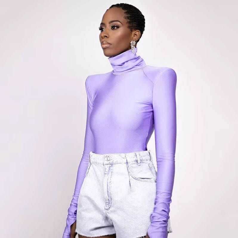 Women Turtleneck Long Sleeve Slim Fit Bodysuit Top bodysuit jehouze 