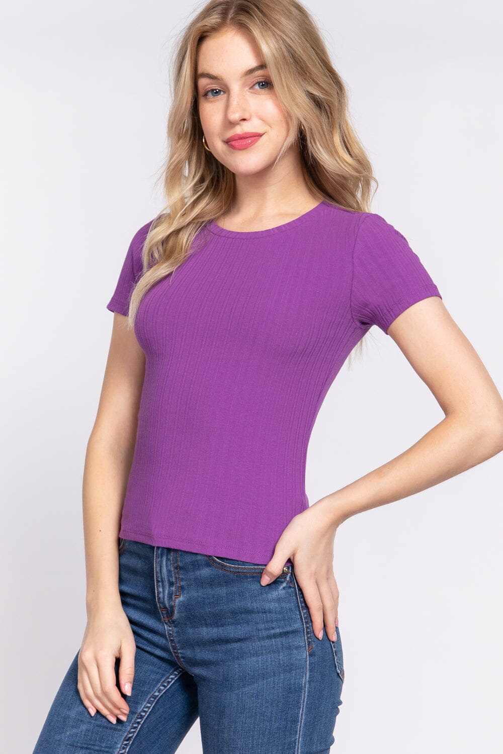 Purple Basic Casual Short Sleeve Crew Neck Variegated Rib Knit Top Shirts & Tops jehouze 