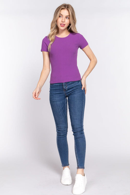 Purple Basic Casual Short Sleeve Crew Neck Variegated Rib Knit Top Shirts & Tops jehouze S 