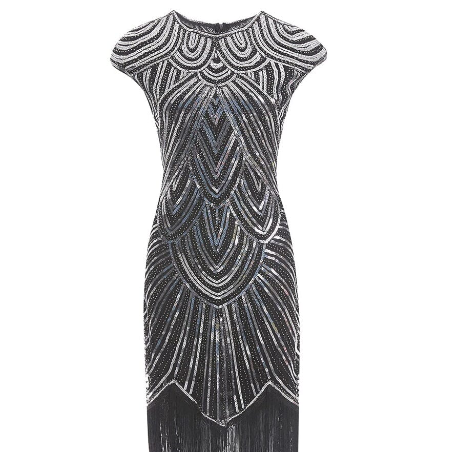 Women Crew Neck Cap Sleeve Sequin Fringe Vintage 1920s Flapper Gatsby Dress_ Dresses jehouze Black Silver XS 