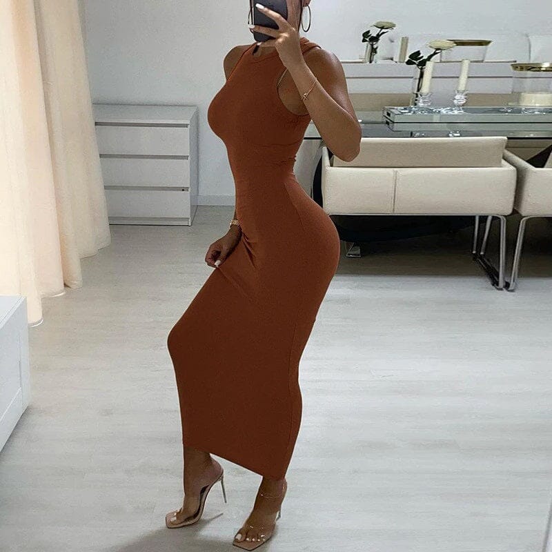 Women Sleeveless Round Neck Basic Bodycon Ribbed Knitted Pencil Maxi Long Dress jehouze Brown S 